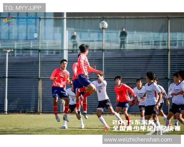 成都足球队荣登全国足球比赛经验排行榜第十位引发热议