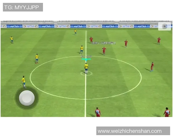 深入分析杭州排球队的进攻战术与策略演变之路