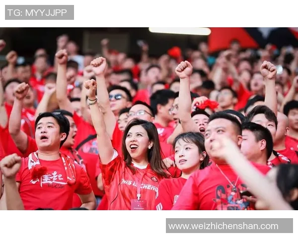 成都排球队以55分领跑世界杯积分榜展现强劲实力与团队合作精神